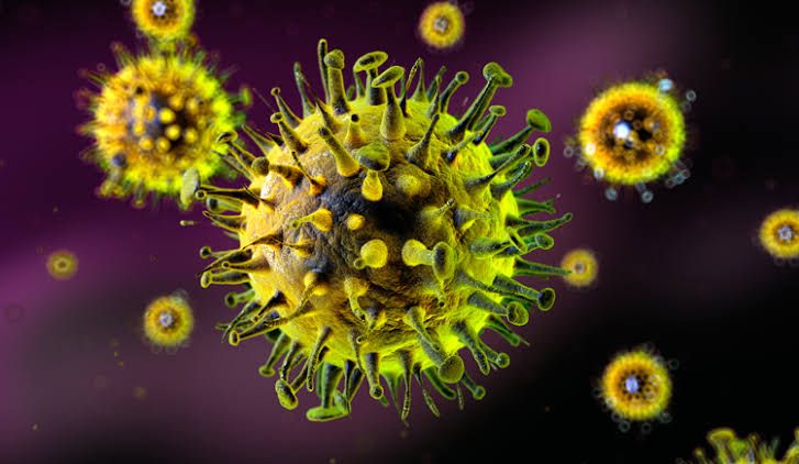 Belum Ada Kasus Hantavirus di Riau, Masyarakat Diminta Waspada