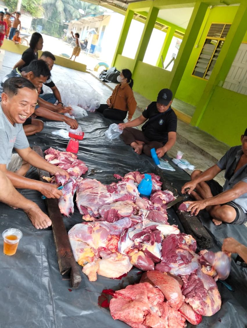Wujud Kebersamaan, PT. Agrinas Palma Nusantara KSO PT. Tiga Raja Mas Laksanakan Kurban 2 Sapi