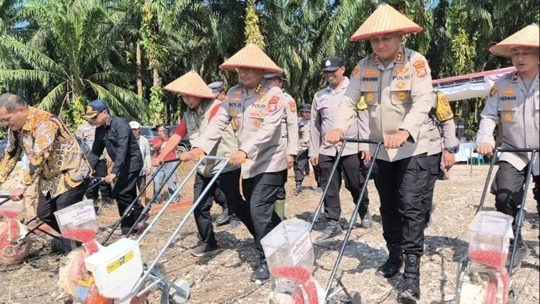 Tingkatkan Produksi dan Perluasan Lahan Jagung di Kandis, Langkah Nyata SDM Polda Riau Dukung Program Nasional