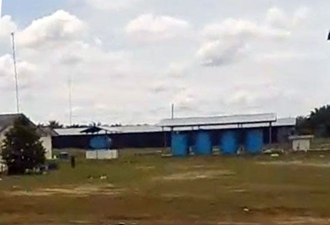 Kandang Ayam di Simalinyang Diduga Ilegal dan Langgar Aturan, Pengamat Siap Laporkan