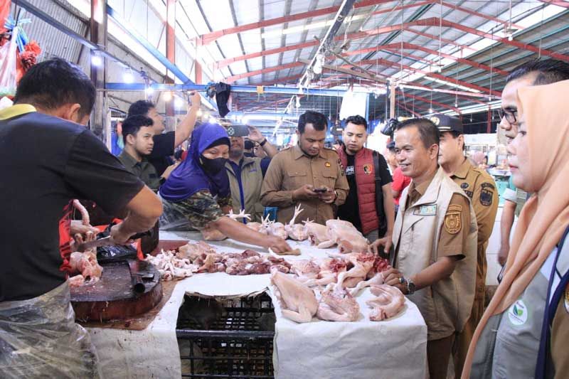 Disketapang Pekanbaru Monitoring Ketersediaan Pangan