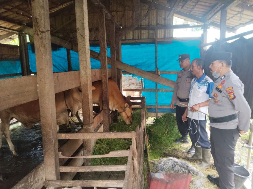 Dukung Swasembada Pangan, Personil KSKP Polres Inhil Beri Penyuluhan ke Peternak