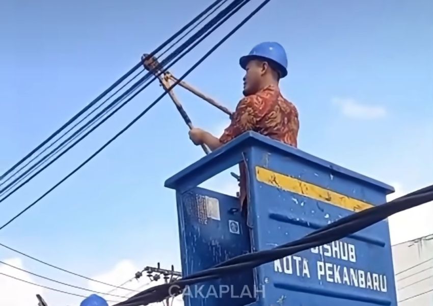 Wako Agung Putus Langsung Kabel Fiber Optik Ilegal di Ronggo Warsito Pekanbaru