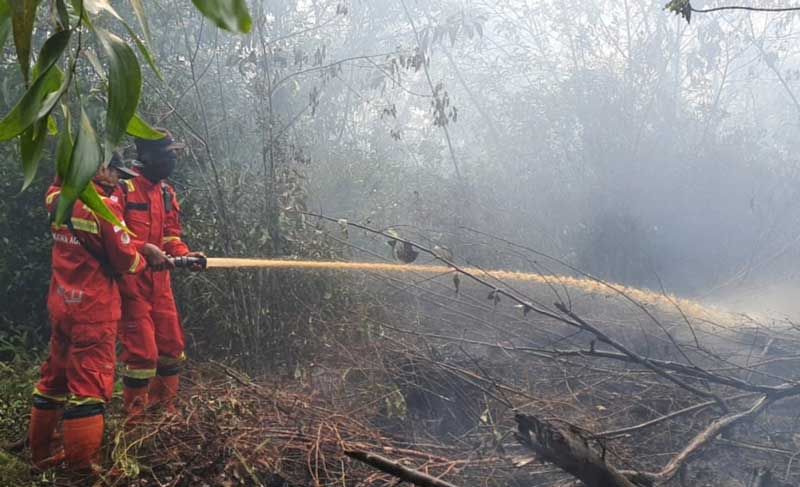 Api Masih Menyala di Tanjung Kapal, Alat Berat Dikerahkan