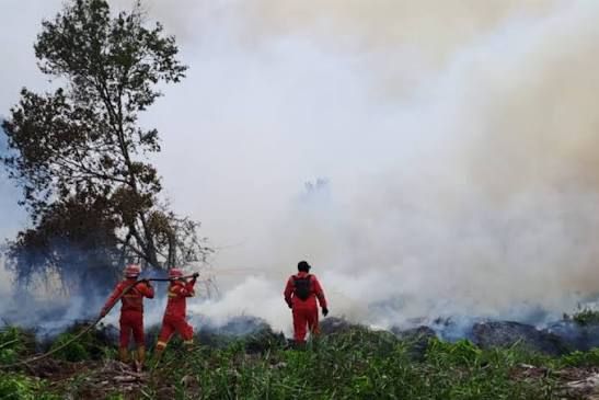 11 Daerah di Riau Sudah Tetapkan Siaga Darurat Karhutla