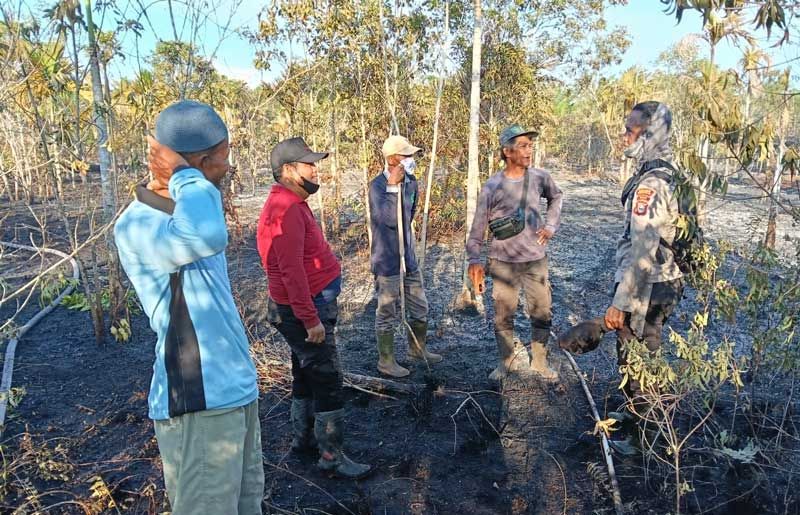 Karhutla Hanguskan Ratusan Hektare Lahan di Bengkalis, Pelaku Diamankan