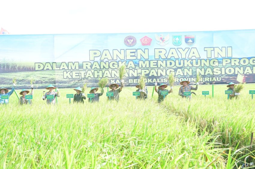 Sinergi Perkuat Ketahanan Pangan, Wabup Bagus Santoso Hadiri Panen Raya Bersama TNI di Siak Kecil