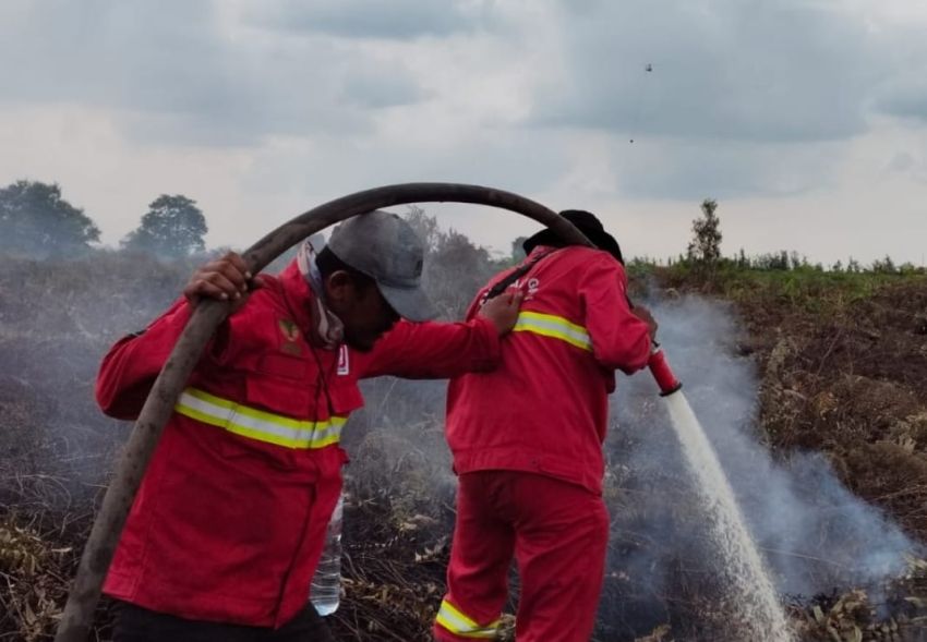 Ini 6 Poin Maklumat Forkopimda Riau Terkait Karhutla!