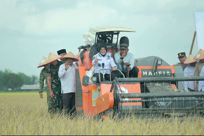 BAZNAS Bersama Pemkab Siak Panen Raya Padi di Kecamatan Bungaraya