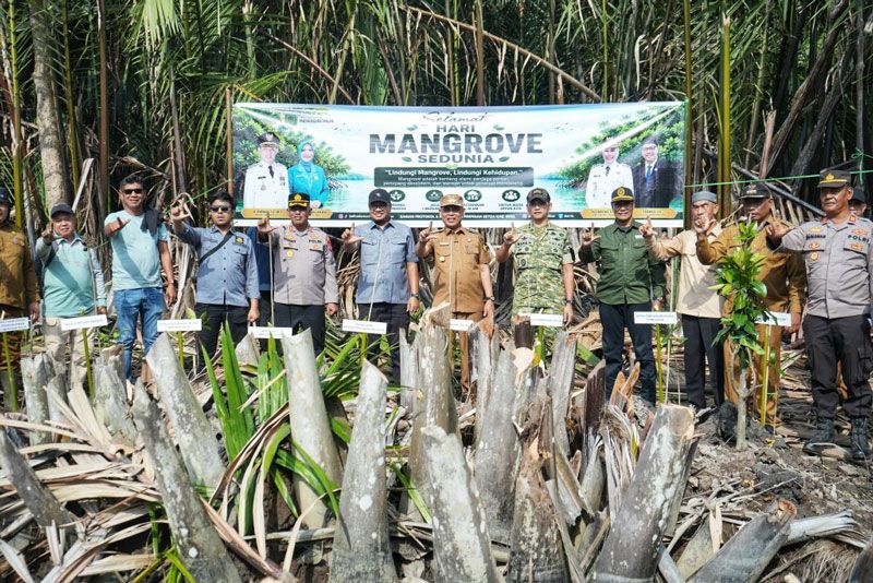 Jaga Kelestarian Lingkungan Pesisir Inhil, Bupati Herman Tanam Mangrove di Sapat