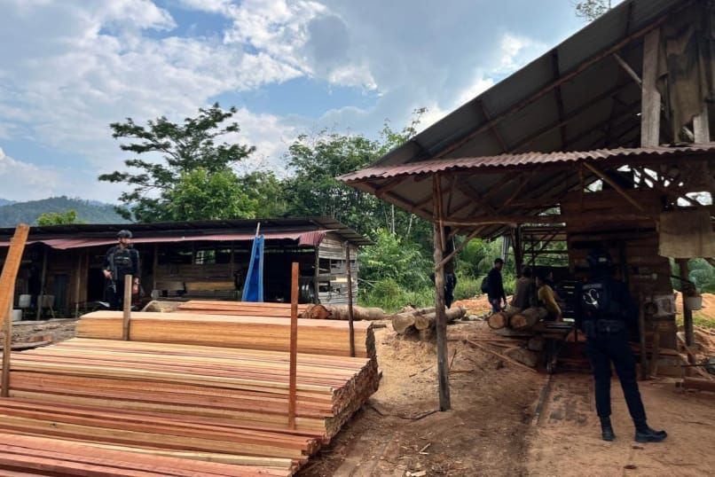 Polda Riau Tindak Sawmil Ilegal Skala Besar di Kampar Kiri