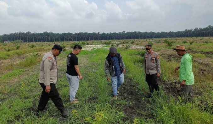 Kapolsek Kandis Dampingi Tim SDM Polda Riau Tinjau Lahan Jagung 12 Hektare di Kandis