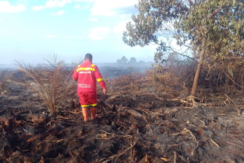 Karhutla Pulau Serdang, 7 Hektare Gambut Terbakar