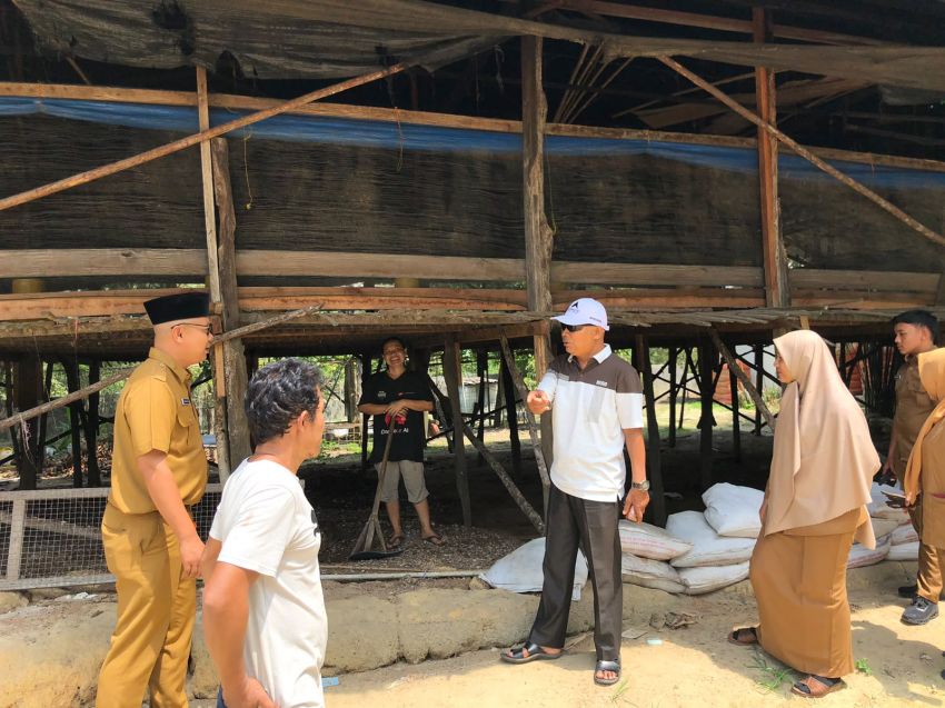 Populasi Lalat Meningkat, Peternak di Kulim Janji Perbaiki Pengelolaan Kandang