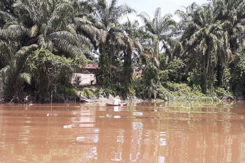 DAS Empat Sungai Besar di Riau Kritis!