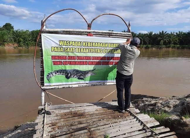 Dua Hari Dirawat, Nelayan Rohil yang Diterkam Buaya Meninggal Dunia