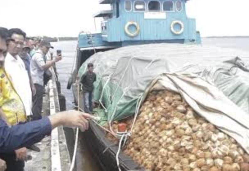 Permintaan Lesu, Produksi Melimpah, Harga Kelapa di Inhil Anjlok