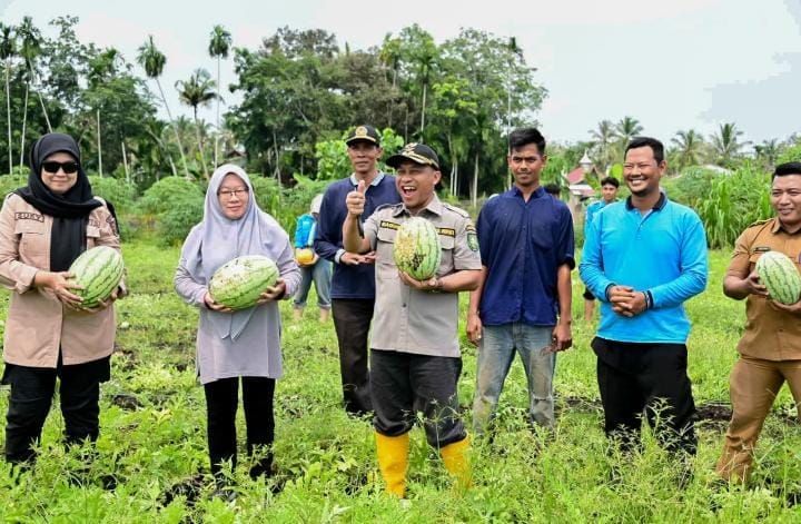 Wabup Bagus Santoso Panen Semangka Petani Milenial, Ajak Perkuat Sinergi Membangun Pertanian Modern