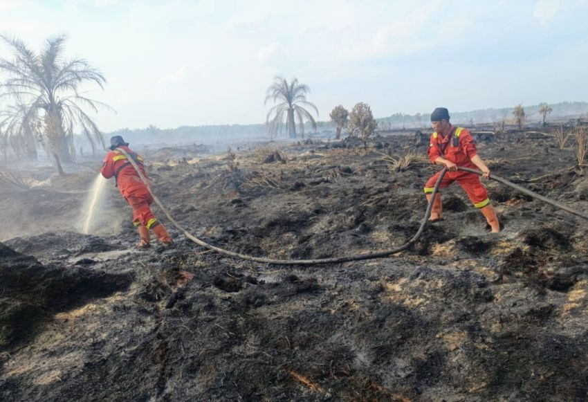 Setelah 2 dari 7,5 Hektare Karhutla di Kubu Rohil Berhasil Dipadamkan, Muncul Titik Baru di Bangko