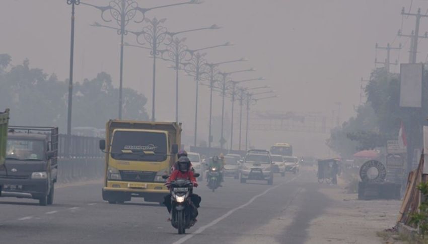 Kualitas Udara di Pekanbaru Tak Sehat, Kurangi Aktivitas Luar Rumah, Gunakan Masker