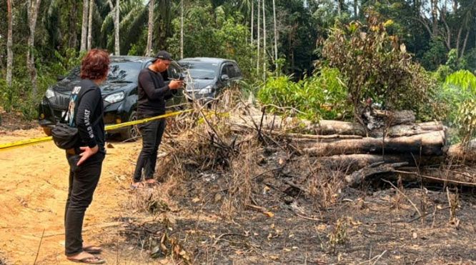 Bakar Ranting untuk Usir Nyamuk, Lahan 1,5 Hektare di Inhu Malah Terbakar, Pensiunan Diamankan Polisi