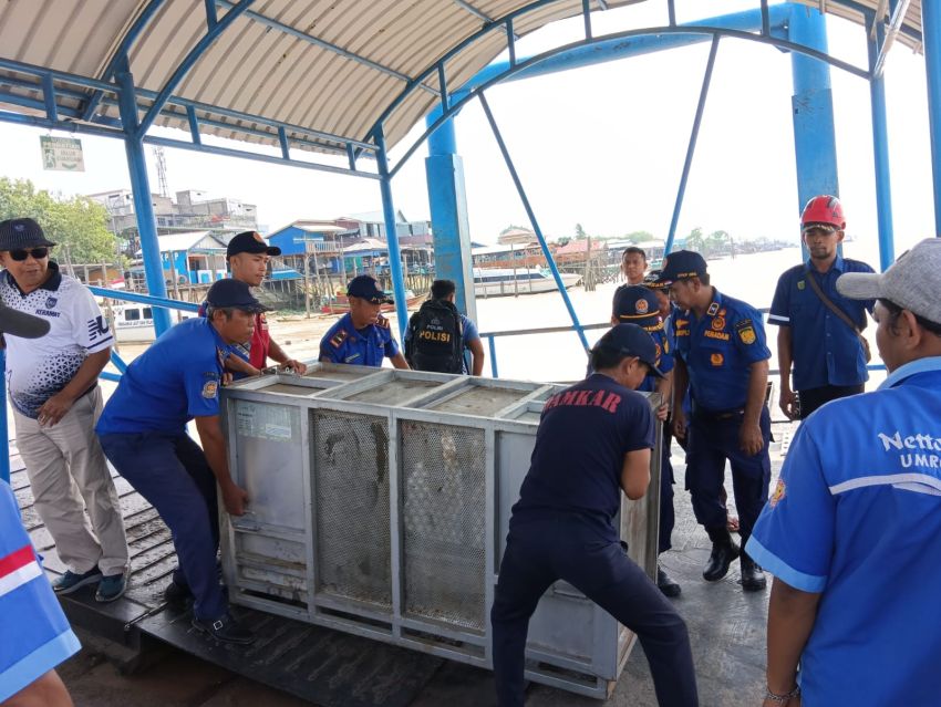 Upaya Evakuasi Harimau di Pulau Burung Inhil, BBKSDA Kirim Box Trap ke Desa Danai