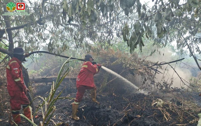 Perjuangan Pemadaman Karhutla di Mak Teduh Pelalawan, Tim Berjalan Kaki Dua Kilometer