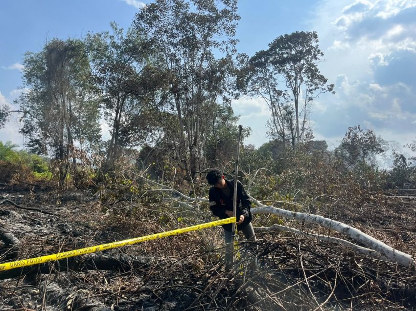 Pria Ditangkap Usai Bakar Lahan di Kerumutan untuk Kebun Sawit