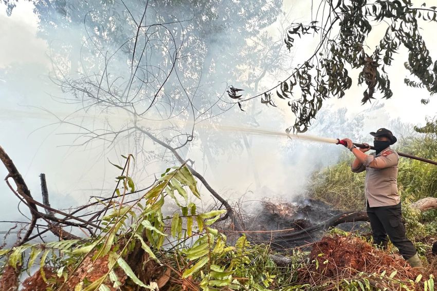 Sempat Padam, Karhutla di Kerumutan Pelalawan Kembali Menyala