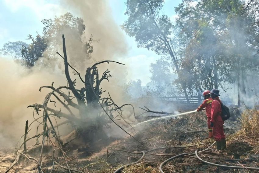 Riau Waspadai Asap Kiriman dari Jambi, Lampung dan Sumsel
