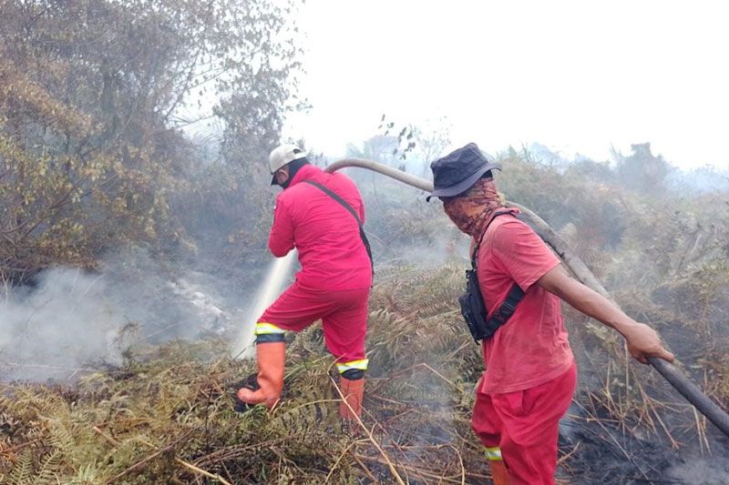 Manggala Agni Masih Berjibaku Padamkan Enam Titik Karhutla di Riau