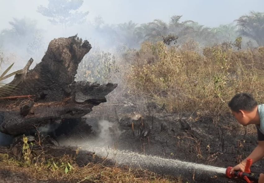 Fenomena El Nino, Pekanbaru Pastikan Kesiapan Hadapi Ancaman Karhutla