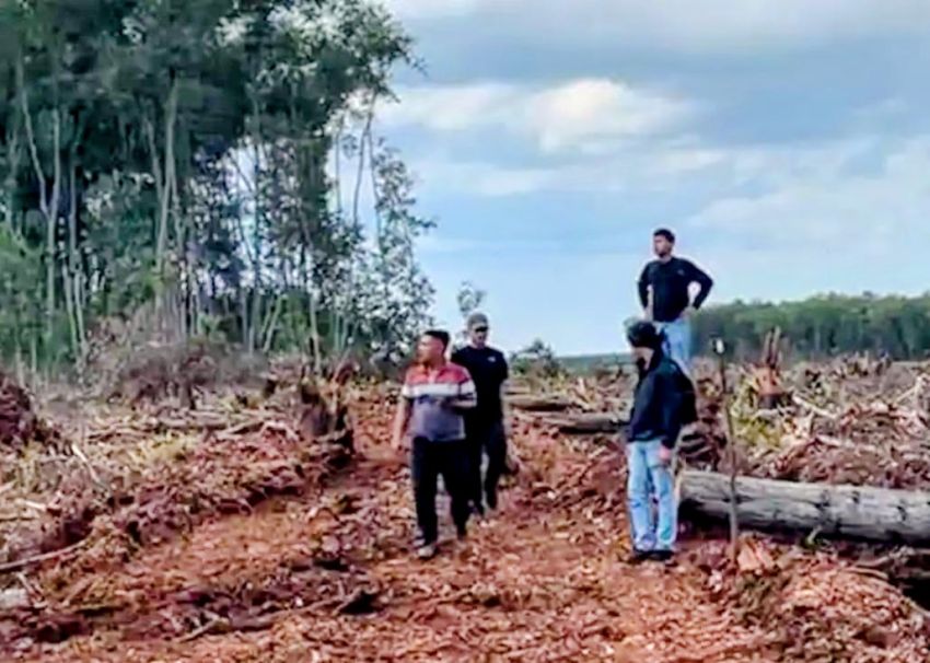 20 Hektare Konsesi PT SPM Dirambah, Polres Bengkalis Tetapkan Tersangka