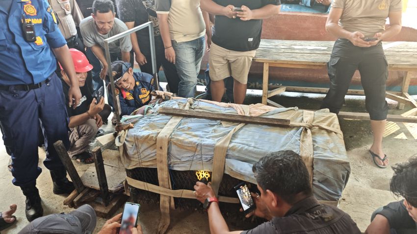 Seekor Monyet Ditangkap di Tembilahan, BBKSDA Riau Lakukan Identifikasi