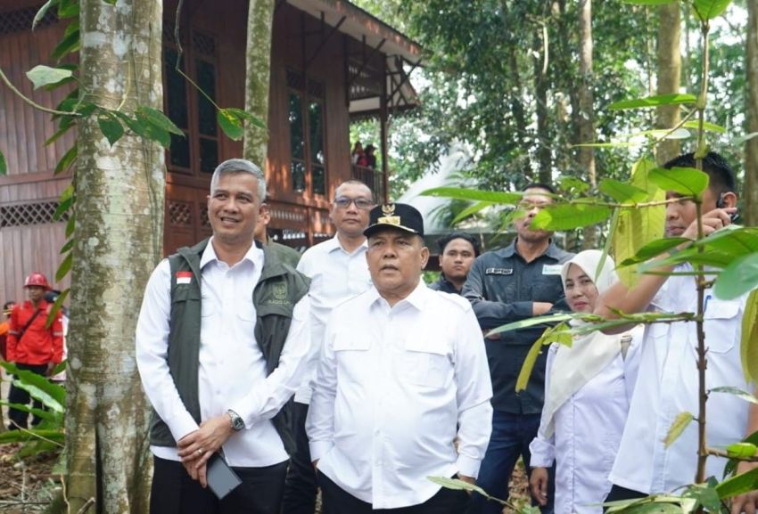 Plt Gubernur Klaim Sukses Restorasi 451 Ribu Hektare Gambut Riau