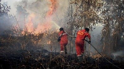 Lahan Terbakar di Riau Sudah Mencapai 18.770 Hektare