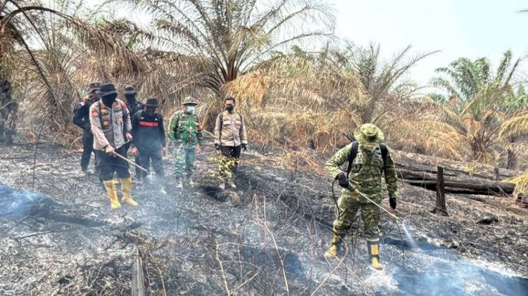 Bermalam di Lokasi Karhutla, Kapolres Inhu dan Dandim Padamkan Api Karhutla