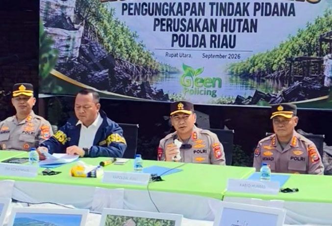 Dari Pohon Mangrove Jadi Arang, Polda Riau Usut Pidana Perusakan Hutan di Rupat Utara