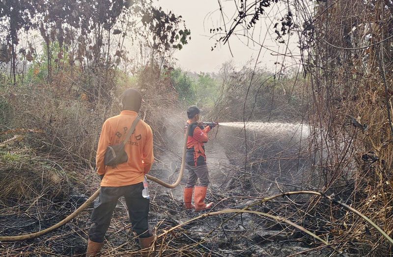 Api Kembali Menyala, Petugas Berjibaku Padamkan Karhutla Sungai Beringin Hingga Malam