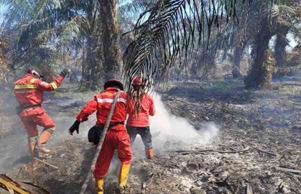 Antara 21-27 September, Jikalahari Temukan Hotspot di Dalam Areal Korporasi