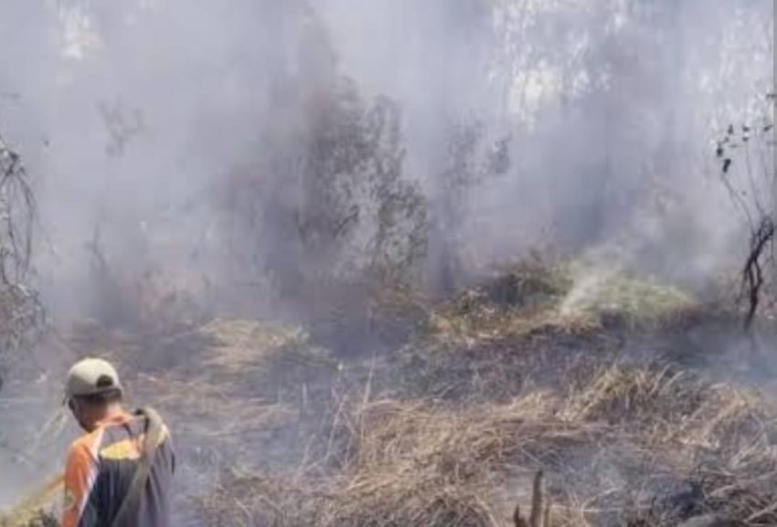 Sempat Padam, Api Karhutla Sungai Beringin Tembilahan Kembali Menyala
