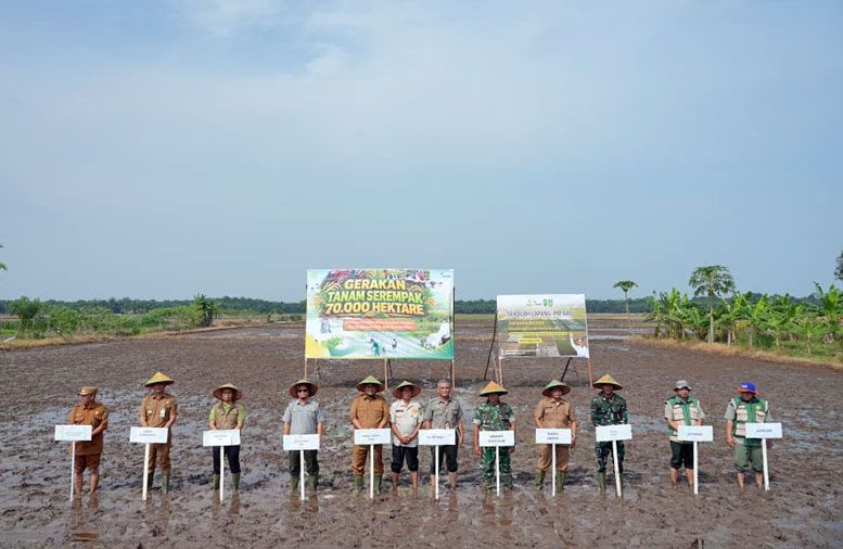 Perkuat Peran Bungaraya sebagai Lumbung Pangan, Siak Terima Program Penanaman 70.000 Hektare
