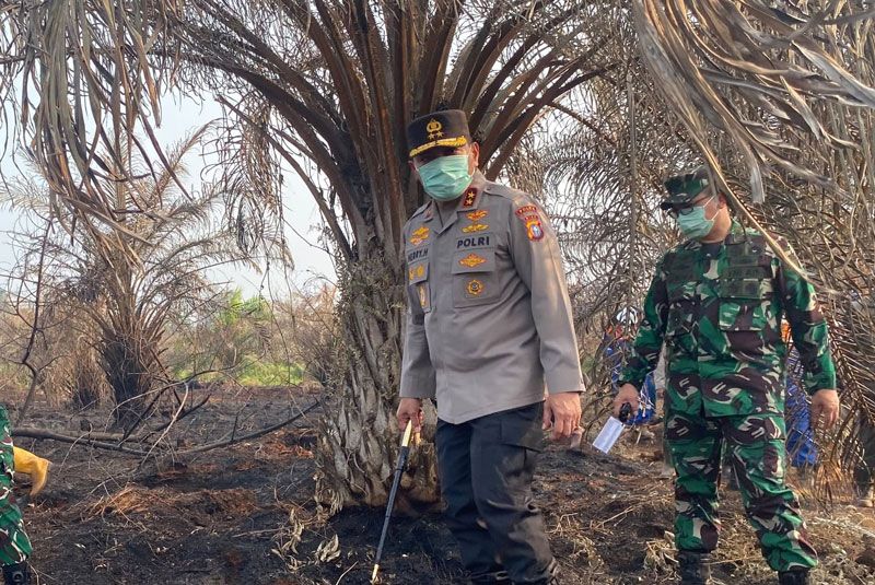 Perkuat Pencegahan, 44 Orang Jadi Tersangka Karhutla dari 41 Kasus di Riau