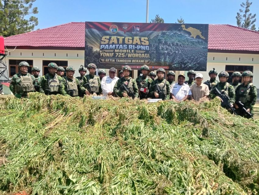 TNI Bersihkan 21.400 Batang Ganja di Yahukimo