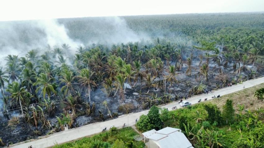 Perkebunan Kelapa di Inhil Terbakar, Tim Berjibaku Lakukan Pemadaman