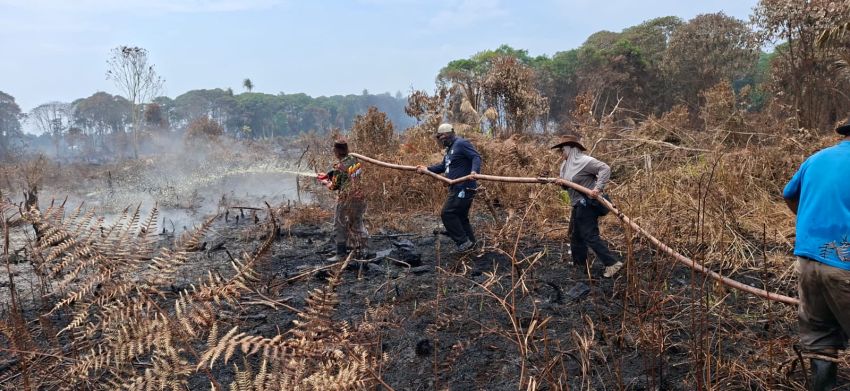 PPWI Inhil, BDPN, Kades dan Warga Pungkat Bahu Membahu Padamkan Api yang Membakar Kebun Warga