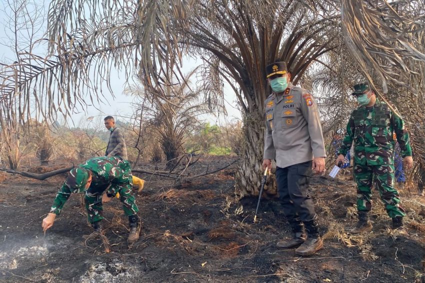 Pangdam XIX/Tuanku Tambusai dan Kapolda Riau Tinjau Pemadaman Karhutla di Sekitar TN Zamrud
