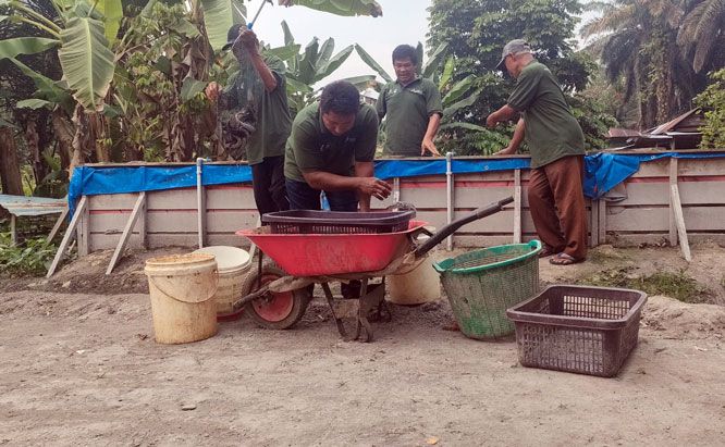 Ketika Guyonan Menjadi Kenyataan, Harapan &ldquo;Cuan&rdquo; Muncul di Balik Kolam Terpal dan Kolam Tanah Ternak Lele Gading Sari
