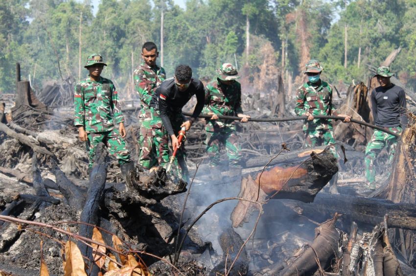 Soal Penanganan Karhutla, TNI Diminta Hadir dengan OMSP Terencana