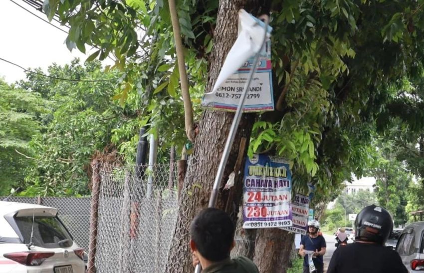 Bapenda Pekanbaru Tertibkan Reklame yang Menempel di Pohon